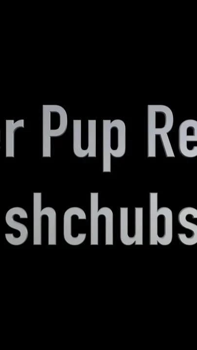 Ginger Pup Returns