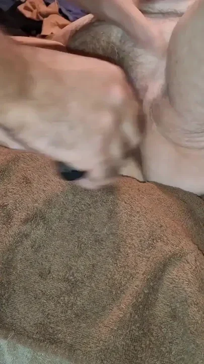 She shows her new Christmas pedicure and I shave her pussy Clip 1