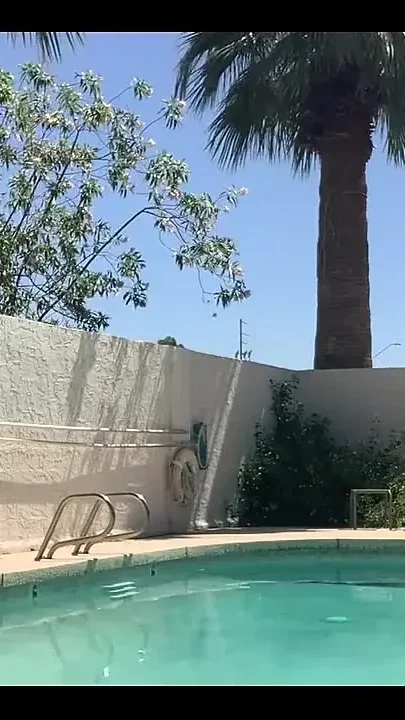 im Your Neighbor and You See Me Getting in the Pool