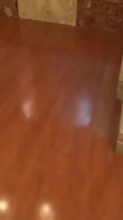 Asian Angel 27544