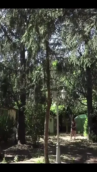 Plump Girl Gets Huge Cocks