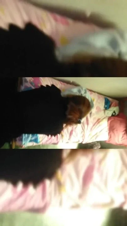 We take two compiled videos in the room next door Clip 1