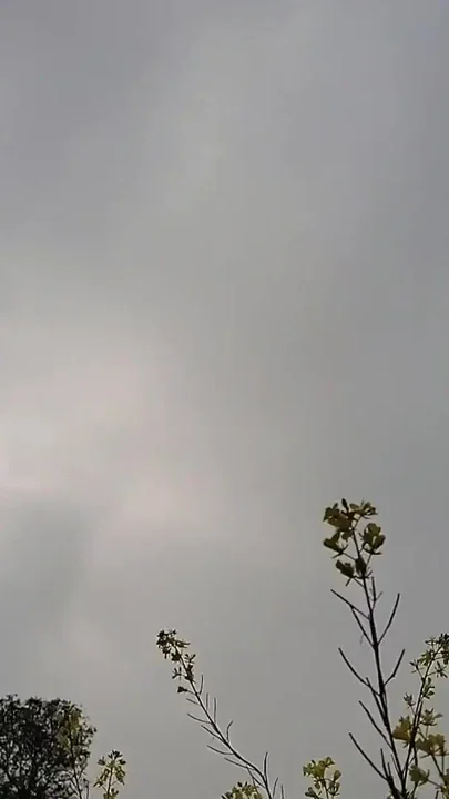 Thandi ke Mausam mein hath se jungle mein Mausam Clip 1