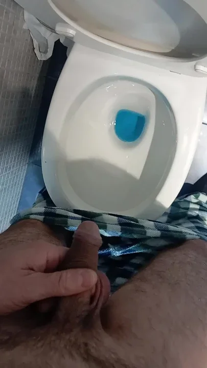 Pee in the bathroom