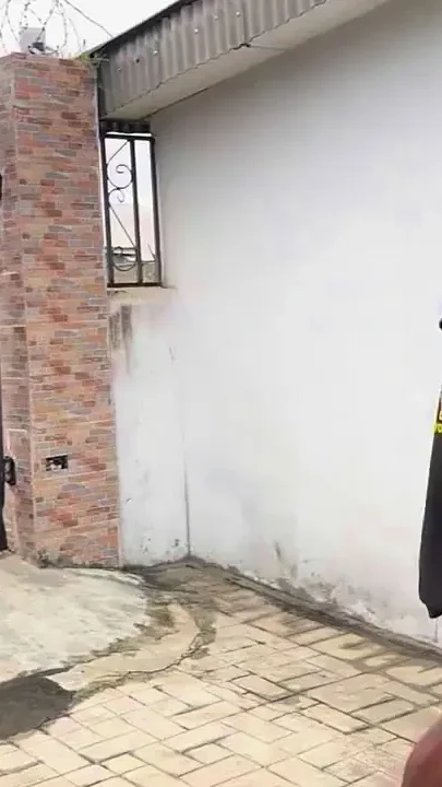 My Big Ass Jiggy