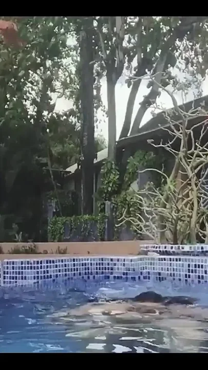 Watch Me Enjoying Myself in the Pool Wearing a Bikini