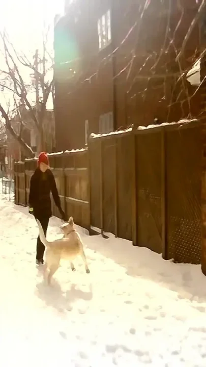 Fooling Around on a Winter Day