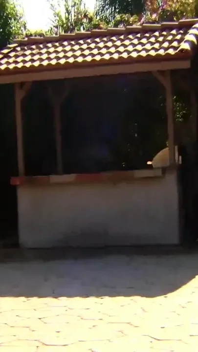 Big black ass for an hot lesbian MILF