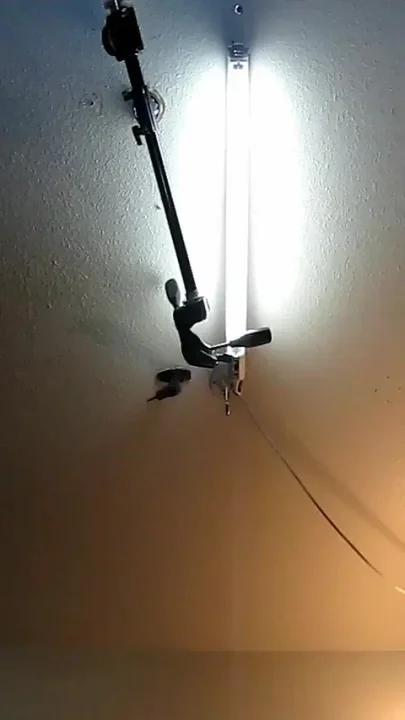 Professional Cumsucking Ass Whore
