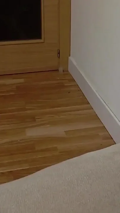 The Guy with the Fat Dick Takes the Risk of Someone Coming Through the Door and