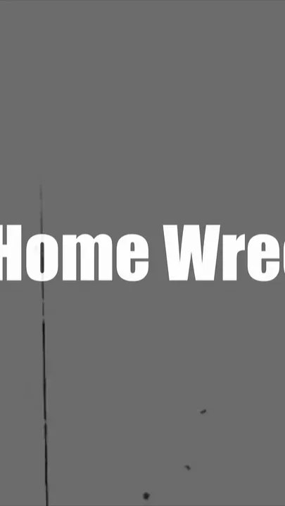 The Home Wrecker