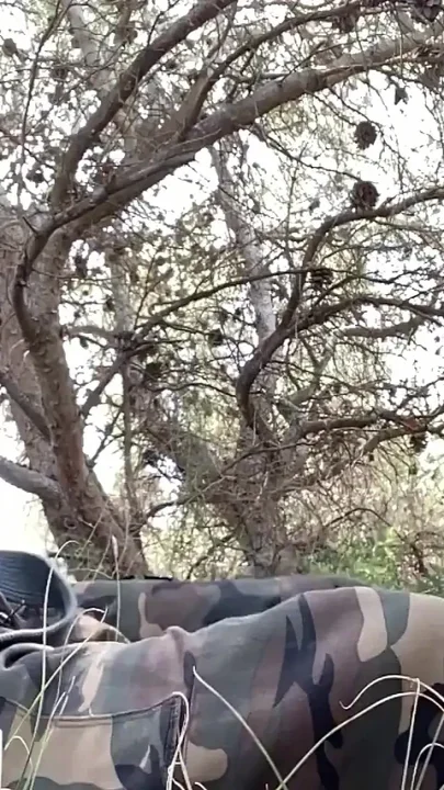 Stop Coming Back From the Beach Between Trees Blowjob