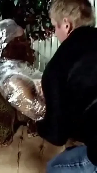 Young Black with Nice Tits Fucked by a Huge Cock and Cumshot in Mouth