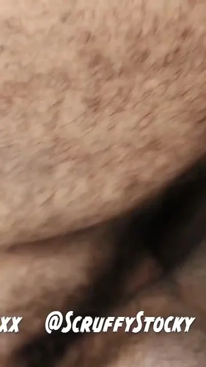Hairy Bear Top Pounds Two Bottoms Threesome Jockstrap Fucking