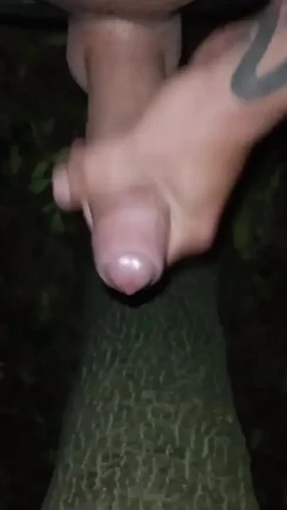 Cumshot Behind a Tree in the Night and Showing Cum Load After Cum