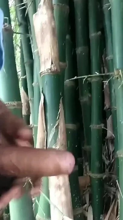 Indian Boy Cumming on Bamboohandjob Cumshot