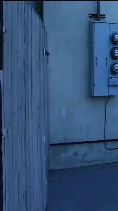 Man Goes Crazy for Fucking