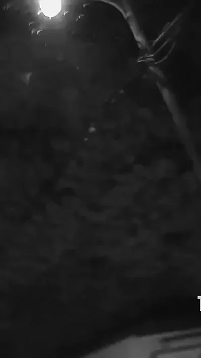 Full Vid Meet Ms Stanky Feet