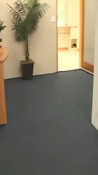 The Hardest Black Cock for the Lady