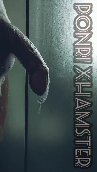 My DICK Foreskin