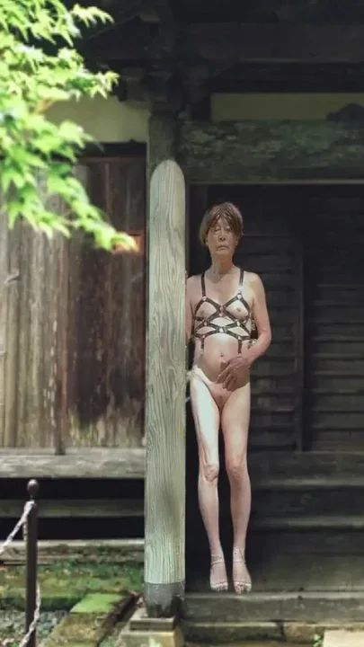 Japanese Old House and Pai-chan