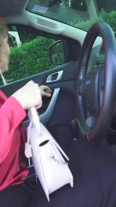 The Real Car Punishment