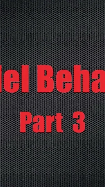 Model behavior - chapter 3