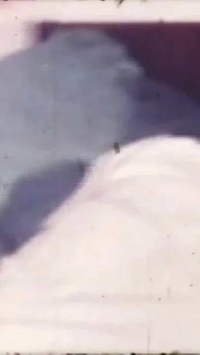 The Desired Pussy