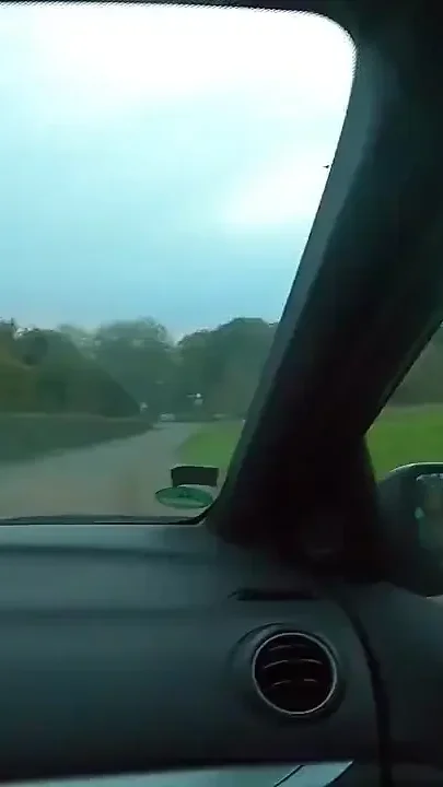 Crass Ladies Fuck the Rideshare