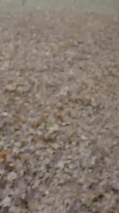 Risky Public Fuck on the Walk with Random Guy From Tinder