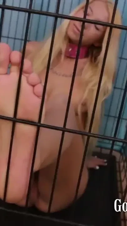 Caged foot pet