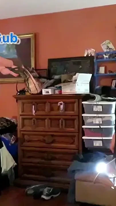Spank My Sissy Sub's Ass