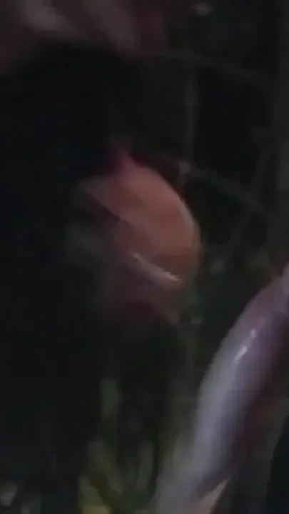 Retro Slut Fucked Hard
