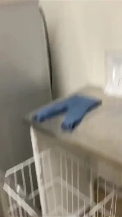 Super Horny During Laundry Public Washhouse