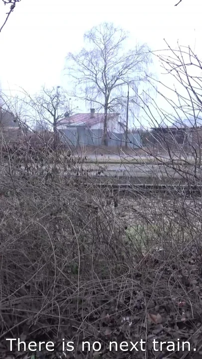 Blondie missed train & accept help from stranger in van where fucked hard