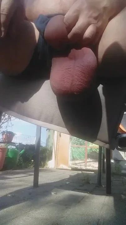 Ball Games in the Garden