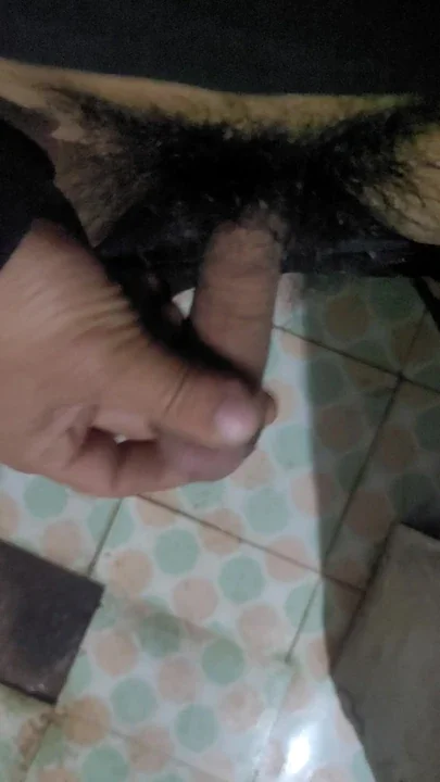 cum shot acvbh