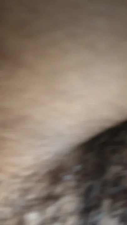 Desi Bhabhi's ass hit Clip 2