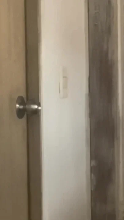 Desperate for a Pee Pissing on the Floor Fan Request