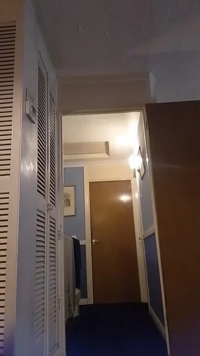 Butt plug nylons