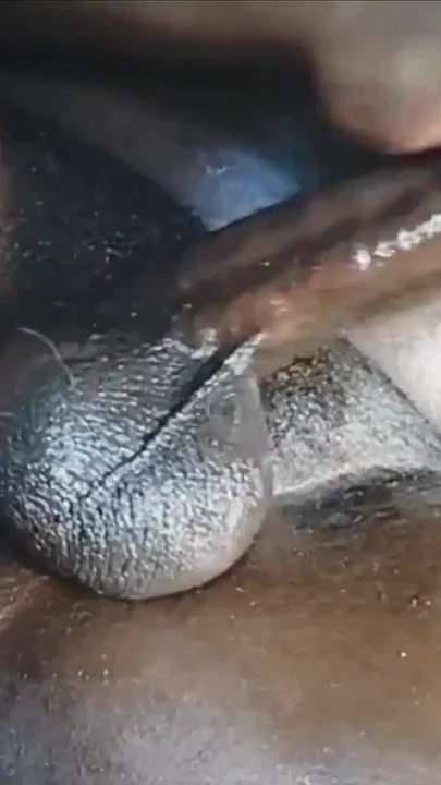 Wanking My Black Cock Huge Loud Moaning Cumshot