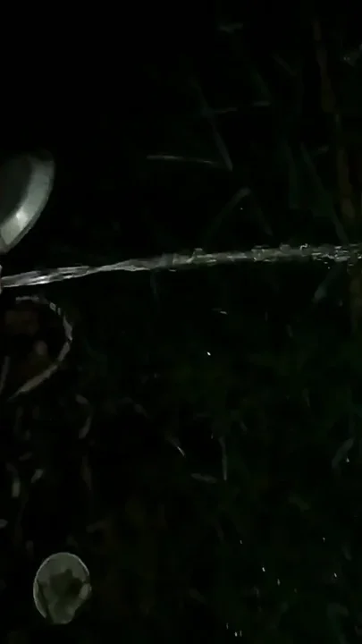 Cock Pissing in Night