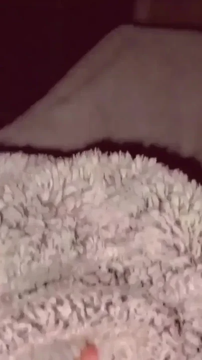 Wifes Wild Night Out in Public Clip 2