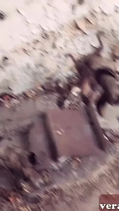 Jaw-dropping moment from 