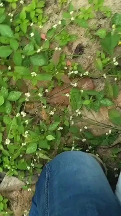 desi tribal worker doggy sex with farm owner Clip 1