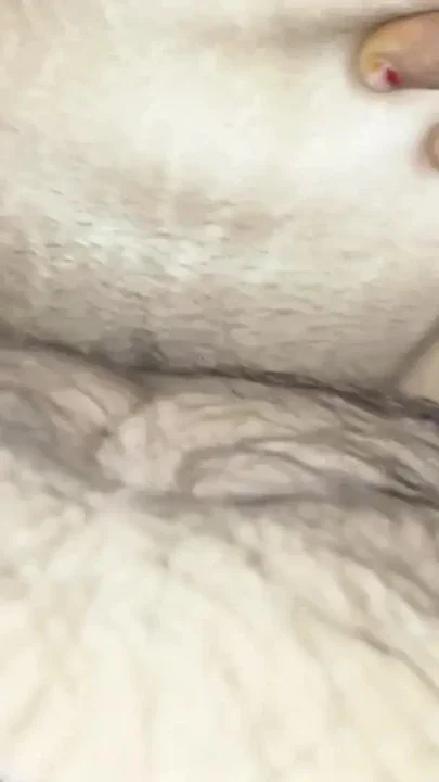 One Night Stand with Neighbour Boyfriend in His House and Fucked Her Tight Pussy Clip 1