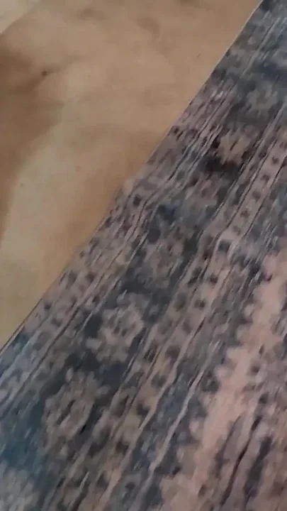 Full Service Maid Cleans Your House and Cock