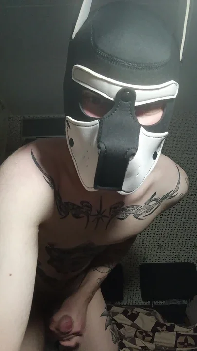 I wanted to jerk off in the morning