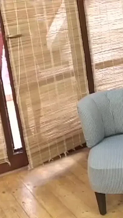 Monica