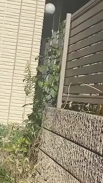4 People Caught in an Intimate Routine